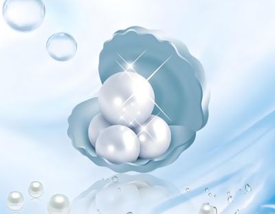 珍珠胶原蛋白整理剂